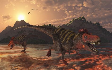 A pair of carnivorous Tarbosaurus dinosaurs scavaging for food during ...