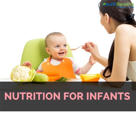 Nutrition And Development In Infants - Nutrition Pics