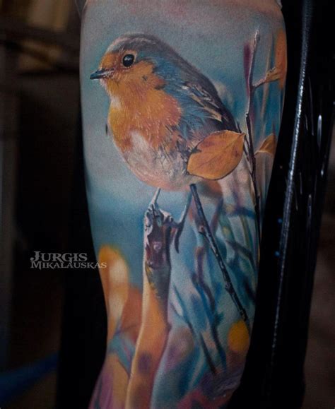 Robin Redbreast