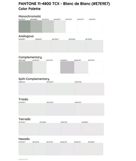 PANTONE 11-4800 TCX - Blanc de Blanc color palettes - colorxs.com