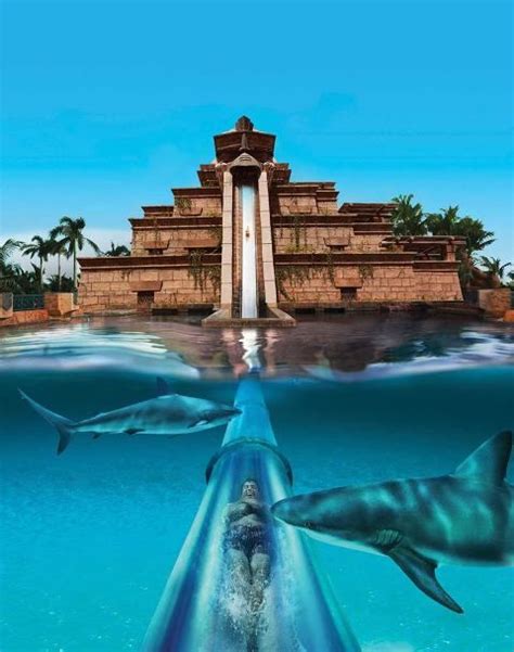 Aquaventure Water Park (Nassau, Bahamas). Atlantis resort. | beautiful places | Pinterest ...