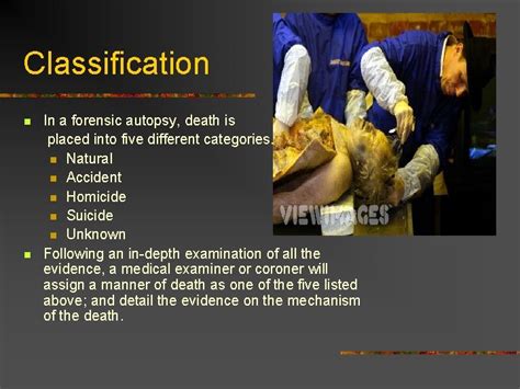 The Forensic Autopsy What is an Autopsy n