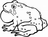 Free Printable Toad Coloring Pages For Kids sketch template
