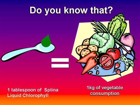 EDMARK SPLINA FOR LIFE: Splina Liquid Chlorophyll