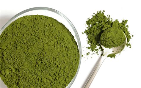 Which Superfood or Green Powder is the Best for you?