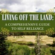 Living Off The Land: A Comprehensive Guide to Self Reliance - An Off ...