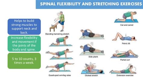 Flat back syndrome