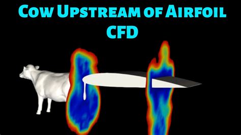 How does a Cow affect an Airfoil's Aerodynamics? - YouTube