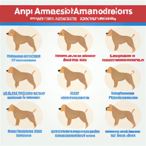 What is Anaplasmosis in Dogs: Symptoms to Watch Out For - One Top Dog