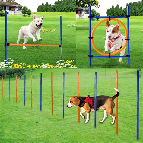 Outdoor Dog Agility Training Equipment Sports Games Jump Obstacle ...