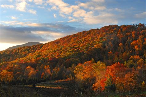 Fall for Banner Elk this Autumn - Banner Elk NC