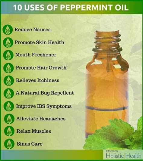 10 Essential Benefits of Peppermint Oil | Modern Holistic Health