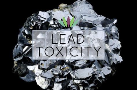 Lead Toxicity - Myersdetox.com