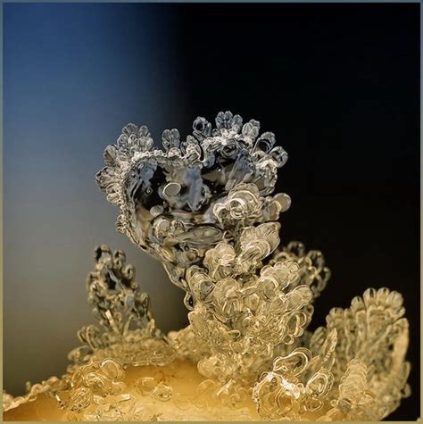 Incredible Snowflake Macro Photography BY Andrew Osokin - Design Swan