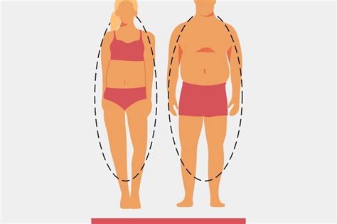 relation amicale À emporter tasse types of body shapes endomorph Quand ...