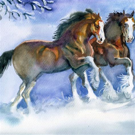 Clydesdale Horse Drawing