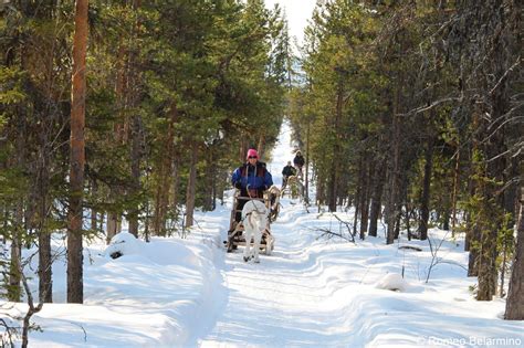 Exciting Outdoor Winter Activities in Sweden’s Lapland | Travel the World