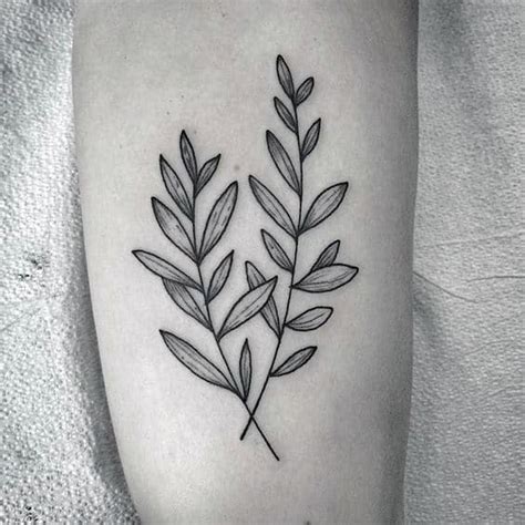 70 Olive Branch Tattoo Designs For Men - Ornamental Ink Ideas