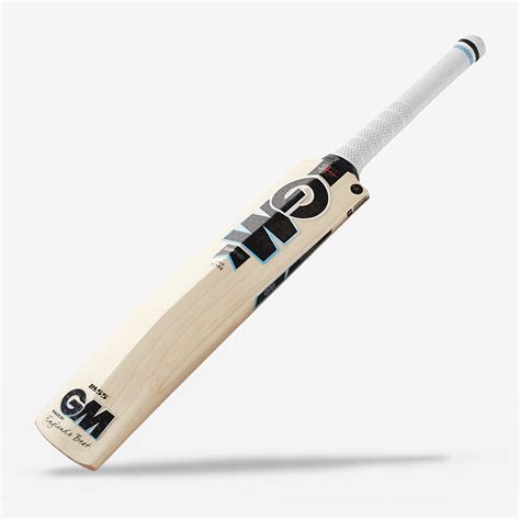 Best Cricket Bats for 2023 (for all budgets & abilities) - Village Cricket Co