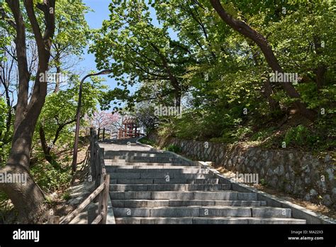 Trail to N tower at Namsan Mountain in a sunny day in Spring. N tower ...