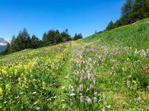 Self-guided Aosta Valley Hiking Tour (Italy)