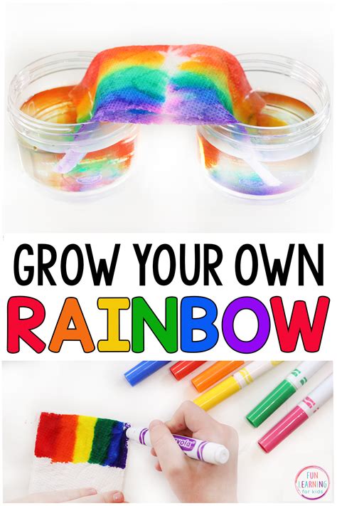 Grow a Rainbow Science Experiment – Audit Student