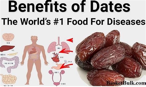 Benefits of Dates For Men | The World's #1 Food For Diseases