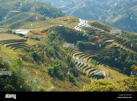 Rice terraces in Sapa Stock Photo - Alamy