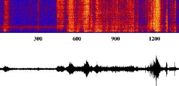 Acoustics Monitoring Program - Icequakes (Bloop)