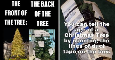 20 Festive Christmas Tree Memes to Deck the Halls With - Memebase ...