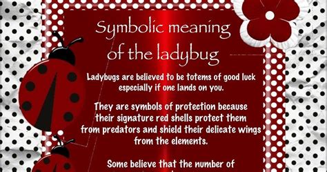 Symbolic meaning of the ladybug | Ladybug, Ladybug meaning, Symbols