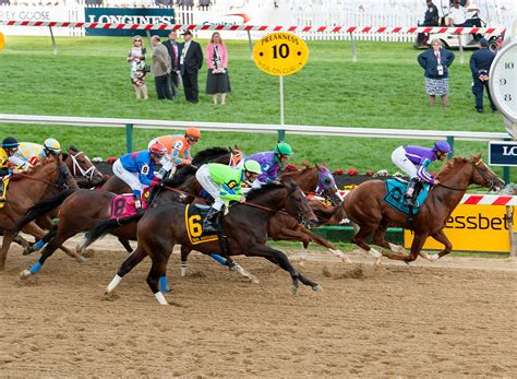 The Basics of Horse Racing - Ihp-raag.org