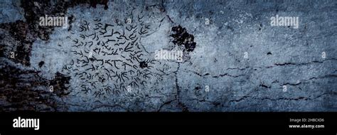 Dark scary cracked wood texture background banner for horror or ...