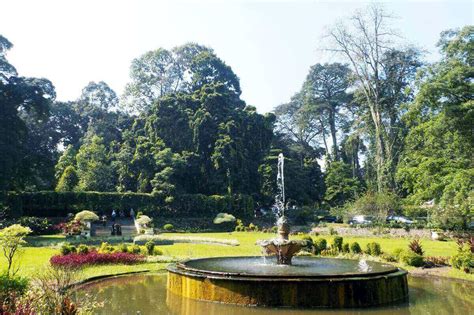 Bogor Botanical Garden | SKYNET TRAVEL CORPORATION