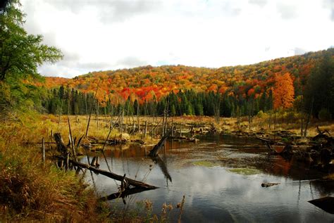 Antrim County | Natural landmarks, Antrim county, Upper peninsula