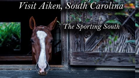 Beat the Heat in Aiken - Visit Aiken SC