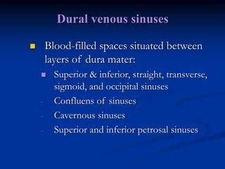 Meninges, Brain’s cavities, and Cerebrospinal fluid_dr. Djoko P. oK.ppt