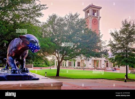 The University of South Alabama mascot, the jaguar, wears a mask to ...