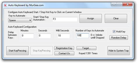 Auto Key Presser with Random Interval for Windows