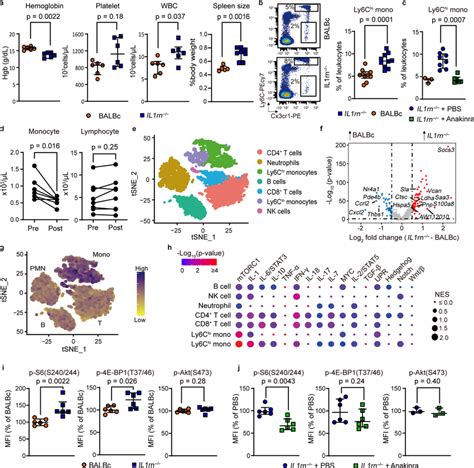 Monocytosis and enhanced mTORC1 signaling in IL-1-mediated... | Download Scientific Diagram