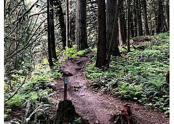 3 Best Hiking Trails in Chilliwack, BC - Expert Recommendations