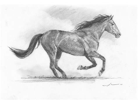 "Galloping horse drawing" Greeting Cards by Mike Theuer | Redbubble