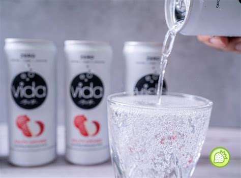 VIDA brings you with HEALTHY Sparkling Drink! | Malaysian Foodie