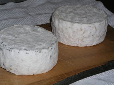 queijo de Castelo Branco (cheese) Portuguese Food, Portuguese Recipes, Queso, Atlantic, Cheese ...