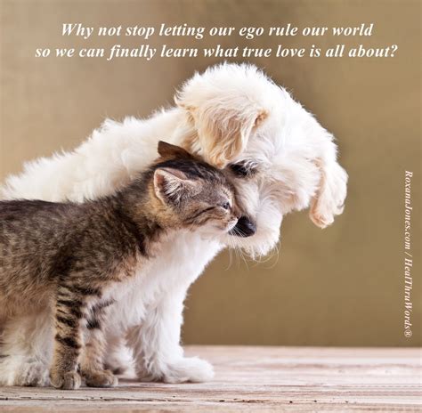 Inspirational quote: Ego vs True Love | Kittens cutest, Cute animals, Pets