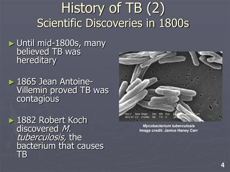 PPT - Tuberculosis PowerPoint Presentation, free download - ID:5525690