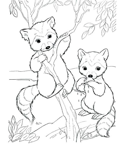 Wild Coloring Pages at GetColorings.com | Free printable colorings pages to print and color