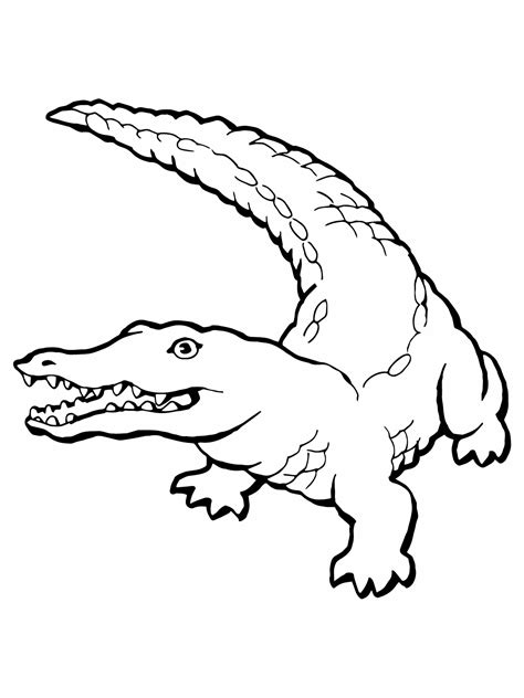 Free Printable Crocodile Coloring Pages For Kids