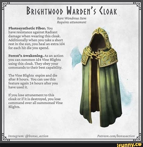 Bricurwood WARDEN'S CLOAK" Rare Wondrous Item Requires attunement ...