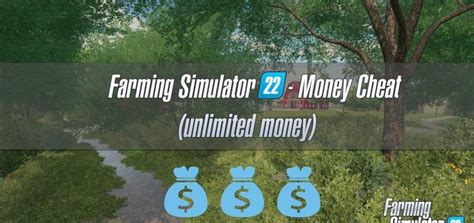 FS22 Cheats | Farming Simulator 22 Cheats & Tips in 2021 | Farming ...